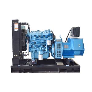 50hz 50kw Emergency Diesel Generator Sets WP4D66E200 Ac Three Phase Output Type