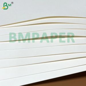PE Coated Non Toxic Eco-Friendly Good Malleability Waterproof Cup Paper Sheets