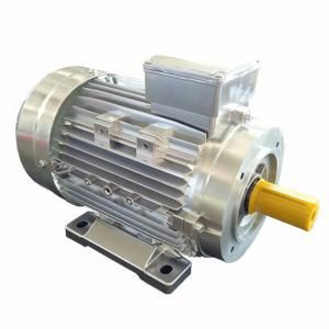 Wholesale 220/380V Three Phase AC Motor 1400rpm 3hp Aluminum MS100L1-4 One Year Warranty from china suppliers