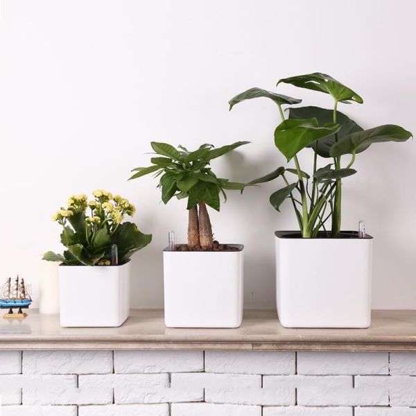 14cm Plastic Cube Self Watering Pots For Houseplants