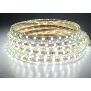 220V SMD High Voltage LED Strip 60 Leds / M IP67 Rating Waterproof
