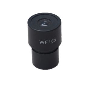 1000x Digital Stereo Inspection Microscope With Histology Microscope Slides