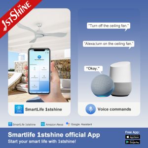 Outdoor Waterproof ABS Plastic Ceiling Fan With Remote Control