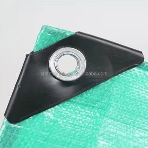 UV Protected Plastic Fabric Sheet for Agriculture/Industrial Cover in Standard