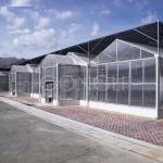 8mm Polycarbonate Greenhouse Sheet Foldable Covering Multi Span 15x30 With