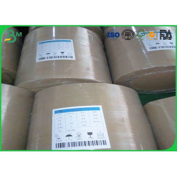 Quality FBB Ivory Cardboard Paper Roll One Side Coated White 300gsm 350gsm With Good Flatness for sale