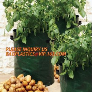 Smart Grow Bags For Potato/Plant Container/Aeration Fabric Pots With Handles