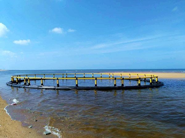 Quality HDPE Pipe Floating Fish Farming Cage Aquaculture Traps Customizable for sale