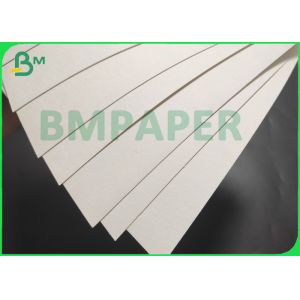 280gsm Poly Coated Cup Paper Material Single Or Double Poly Coating