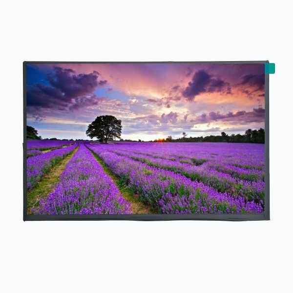 LCD Mall 10.1 Inch TFT LCD Display With EM Touch Panel 750cd/m2 1280XRGBX800