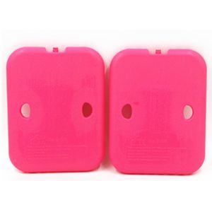 Blue Medium Cooler Ice Blocks Freezable Gel Cold Packs Hard Shell BPA Free For