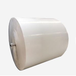 Single Double Side 10-18gsm PE Coated Paper Sheet Greaseproof