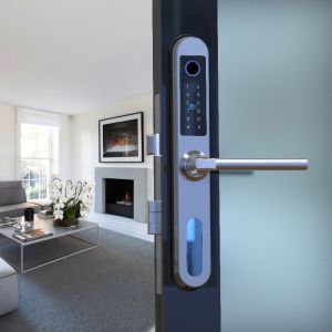 Password RF Card E6900W Aluminum Door Bluetooth Gate Locks