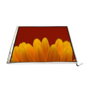 Wholesale LTM14C421C 14.1 Inch 1024*768 LCD Screen Panel Display from china suppliers
