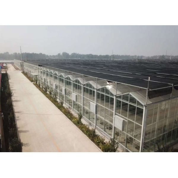 Farm Agriculture Greenhouse Equipments Multi Span Glass Inner Outer Shading System