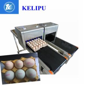 Wholesale Computer Control Date Coding Printer With Special Shuttle Transmission Device from china suppliers