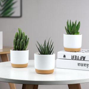 Wholesale Modern Self Watering Planter Pot for Home Decor from china suppliers