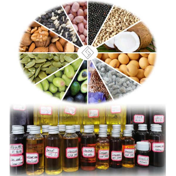 Mustard Oil Extraction Machine