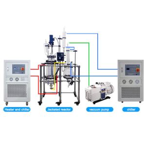 5L-250L Jacketed Lab Reactor With Filtration Stirring Function