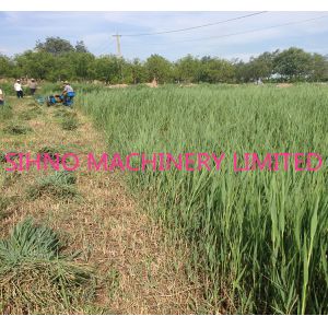 Hand Control Reaper & Binder Combine Harvester Mini Binder Reaper