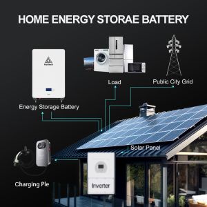 Lithium Iron Phosphate Battery RS485 Communication Port 48V 250Ah 300Ah Solar