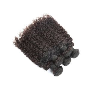 Silky Straight Wave Indian Virgin Hair Extensions Customized Texture And Length