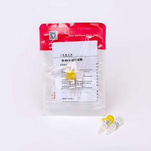 M-MLV Reverse Transcriptase PCR Reagents R1042
