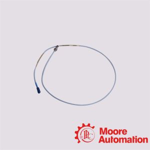 330101-00-80-10-02-00 Bently Nevada Proximity Probe
