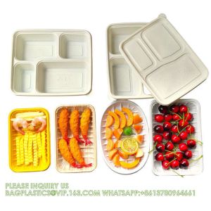 Disposable Biodegradable Sugarcane Bagasse Pulp Food Container Take Away Lunch