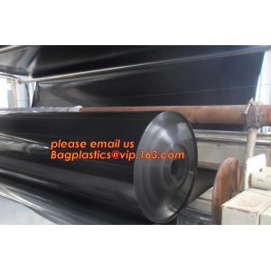 Steel plastic geogrid HDPE film HDPE LDPE geomembrane composite geomembrane