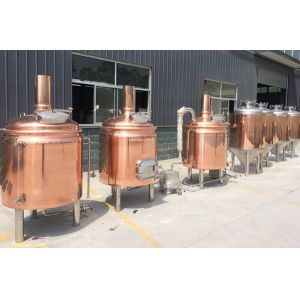 Beer Brewing Equipment Simple Operation/Mini Beer Machine/Provide Free Beer