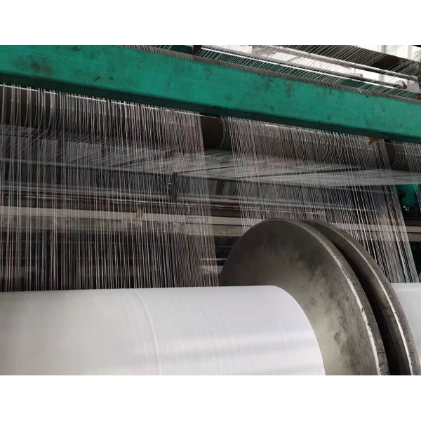 Recycled 100 Polyester Sequin Embroidered on Pv Velvet Fur Fabric for Womens Clothing Home Blanket