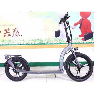 36-48V Electric Scooter Cycle With Removable Battery 30km/H