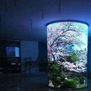 Customized Led Display Screen , Pixel Pitch 2.5mm ,cylinder ,triangel ,