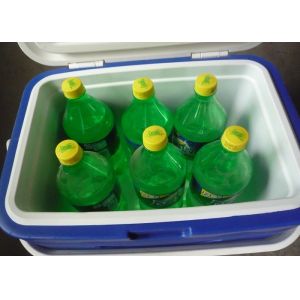 24L Plastic Foam Green Cold Chain Pcm Packaging Cooler Box With Handle In