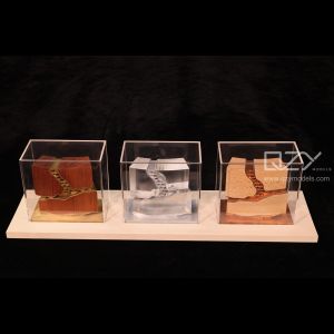 Plexiglass CNC Architecture Model Gift 1:500 MAD ODM
