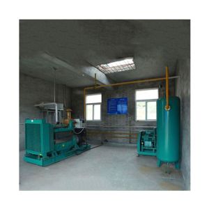 10PPM H2S Filter Biogas Purification Equipment With Dehydrator And Desulfurizer