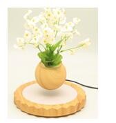 wooden magnetic levitate floating bottom air bonsai pot tree
