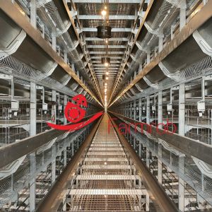 Low Labor 12-Tier Layer Chicken Cage System Efficient Space Usage