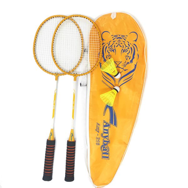 Green Yellow Portable Badminton Racket Set With Nylon Leaf Shuttlecock 2 Players