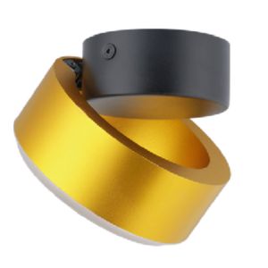 Gloden Adjustable angle mounted lighting downlight ceilling wall lamp fixture