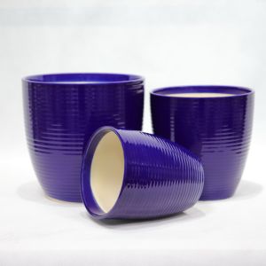 Stunning Plant Display With Our Ceramic Pots Various Sizes Available Ceramic