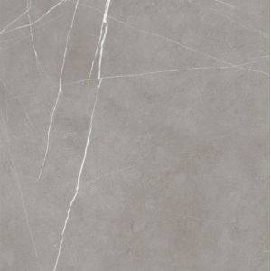 Custom 60*60 Cement Look Porcelain Tile / Durable And Anti -Slip Floor Ceramic