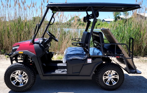 Automatic Trans Reverse 200cc Gas Utility Vehicles Gray