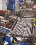 4 Styles Automatic Fish Classifying Machine And Sorting Small Fish Line With 5