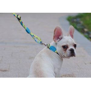 30m Sublimation Dog Leash