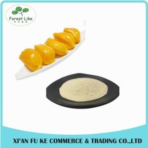 High Quality Natural Jackfruit Extract Powder