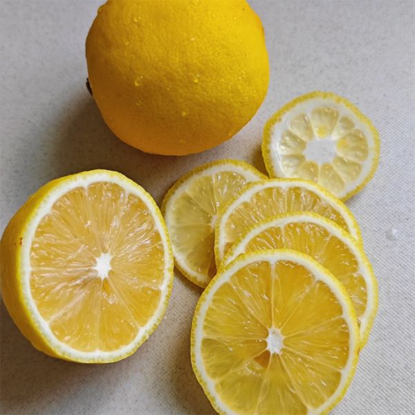 Long lasting Variegated Lemon Essence Imitation Perfume Wholesale