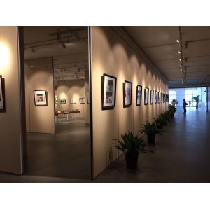 Soundproof Operable Partition Wall With Ceiling Track / Folding Panel Partitions