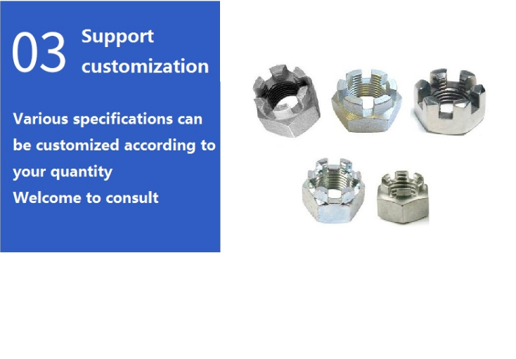 DIN935 Slotted Nut Hex Slotted Castle Nuts Grade 4.8/8.8/10.9/12.9Ect Standard DIN